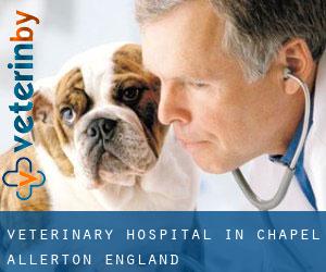 Veterinary Hospital in Chapel Allerton (England)