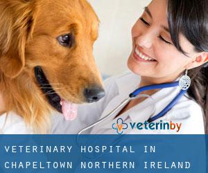 Veterinary Hospital in Chapeltown (Northern Ireland)