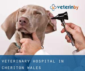Veterinary Hospital in Cheriton (Wales)