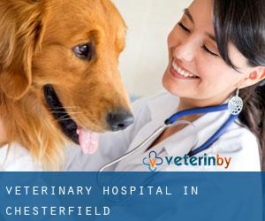 Veterinary Hospital in Chesterfield Veterinary Hospital in Chesterfield