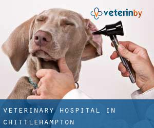 Veterinary Hospital in Chittlehampton