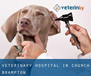Veterinary Hospital in Church Brampton
