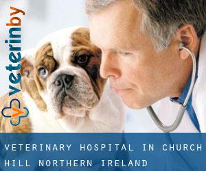 Veterinary Hospital in Church Hill (Northern Ireland)