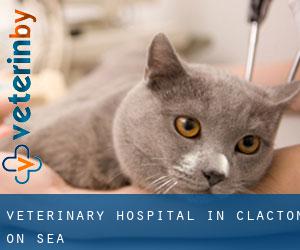 Veterinary Hospital in Clacton-on-Sea