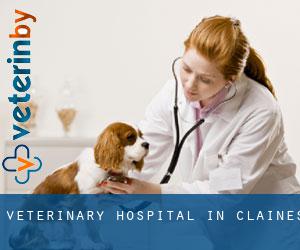 Veterinary Hospital in Claines
