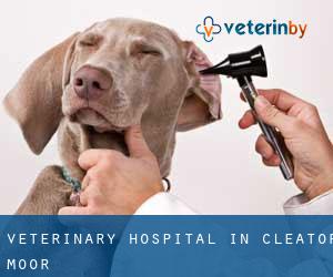 Veterinary Hospital in Cleator Moor