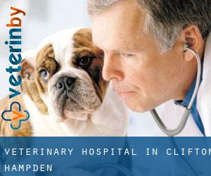 Veterinary Hospital in Clifton Hampden