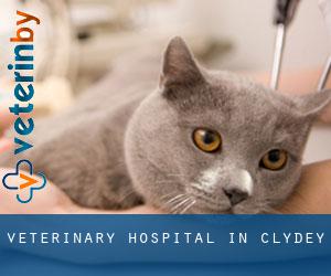 Veterinary Hospital in Clydey
