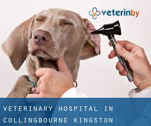 Veterinary Hospital in Collingbourne Kingston