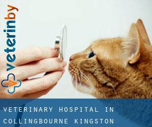 Veterinary Hospital in Collingbourne Kingston
