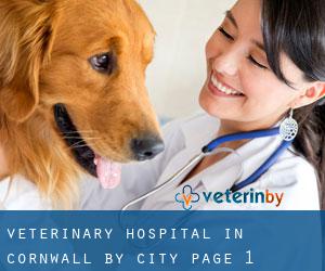 Veterinary Hospital in Cornwall by city - page 1