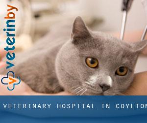 Veterinary Hospital in Coylton Veterinary Hospital in Coylton