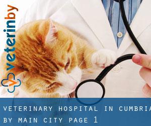 Veterinary Hospital in Cumbria by main city - page 1