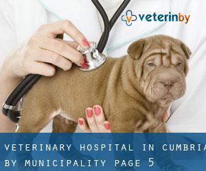 Veterinary Hospital in Cumbria by municipality - page 5