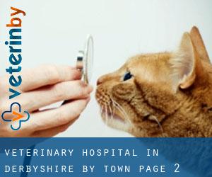 Veterinary Hospital in Derbyshire by town - page 2