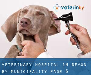 Veterinary Hospital in Devon by municipality - page 6