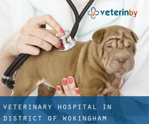 Veterinary Hospital in District of Wokingham