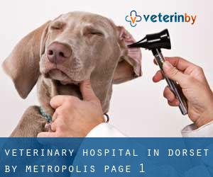 Veterinary Hospital in Dorset by metropolis - page 1