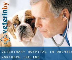 Veterinary Hospital in Drumbeg (Northern Ireland)