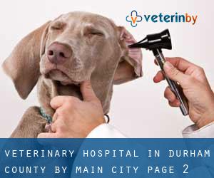 Veterinary Hospital in Durham County by main city - page 2