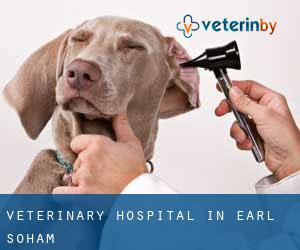 Veterinary Hospital in Earl Soham