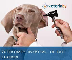 Veterinary Hospital in East Clandon