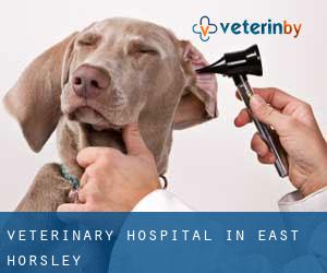 Veterinary Hospital in East Horsley