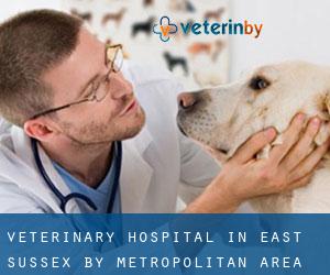 Veterinary Hospital in East Sussex by metropolitan area - page 1