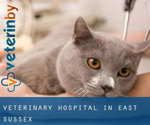 Veterinary Hospital in East Sussex