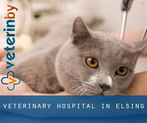 Veterinary Hospital in Elsing