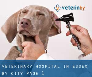 Veterinary Hospital in Essex by city - page 1