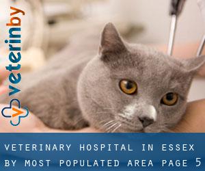 Veterinary Hospital in Essex by most populated area - page 5