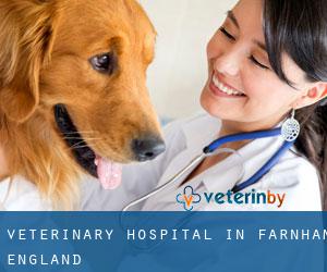 Veterinary Hospital in Farnham (England)