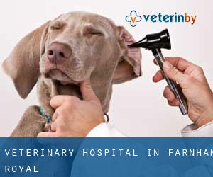 Veterinary Hospital in Farnham Royal