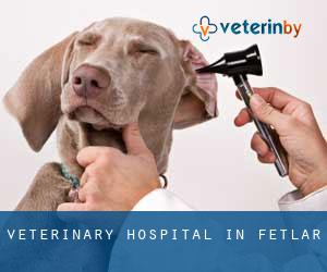 Veterinary Hospital in Fetlar