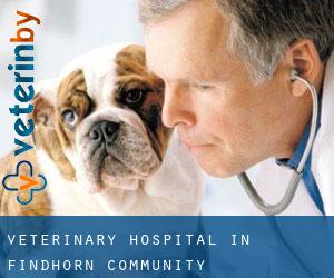 Veterinary Hospital in Findhorn Community