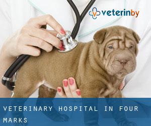 Veterinary Hospital in Four Marks