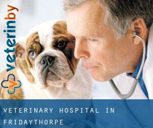 Veterinary Hospital in Fridaythorpe