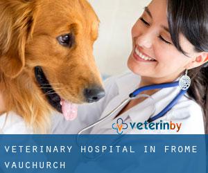 Veterinary Hospital in Frome Vauchurch