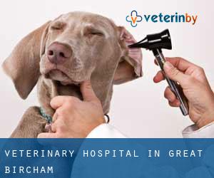 Veterinary Hospital in Great Bircham