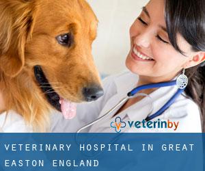 Veterinary Hospital in Great Easton (England)
