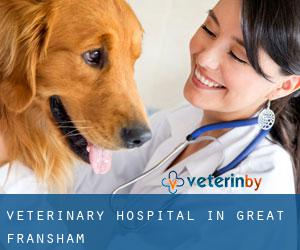 Veterinary Hospital in Great Fransham