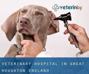 Veterinary Hospital in Great Houghton (England)