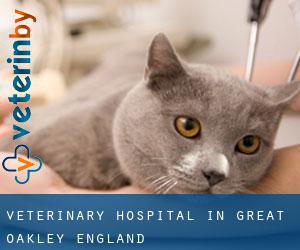 Veterinary Hospital in Great Oakley (England)