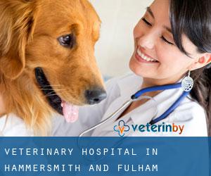 Veterinary Hospital in Hammersmith and Fulham Veterinary Hospital in Hammersmith and Fulham