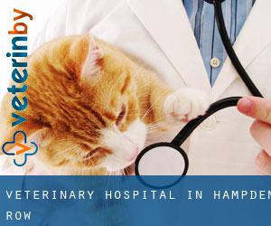 Veterinary Hospital in Hampden Row
