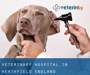 Veterinary Hospital in Heathfield (England)