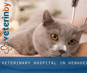 Veterinary Hospital in Hengoed