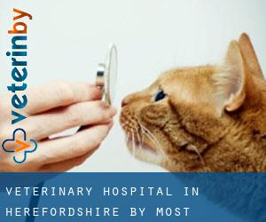Veterinary Hospital in Herefordshire by most populated area - page 3