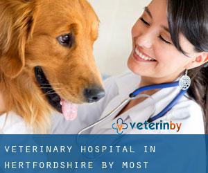 Veterinary Hospital in Hertfordshire by most populated area - page 4